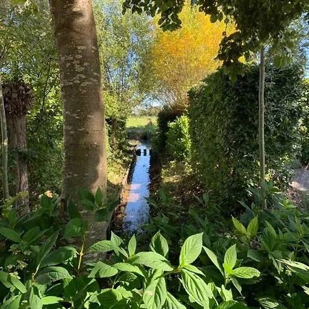 Résidence Koningshof Parque de vacaciones